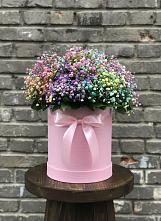 Цветочная композиция из Гипсофила и Розы в шляпной коробке #REPLACE_PRED# Заводском