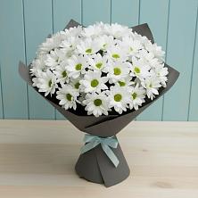 Букет цветов из:  Хризантемы в Заводском