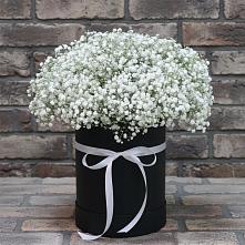 Цветочная композиция из Гипсофила в шляпной коробке в Заводском