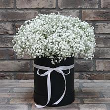 Цветочная композиция из Гипсофила в шляпной коробке в Заводском
