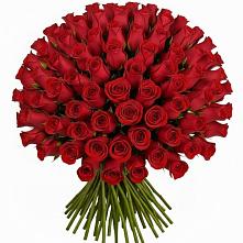 Букет Красные розы Чери Лав в Заводском