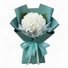 Букет цветов из:  Гортензия в Заводском